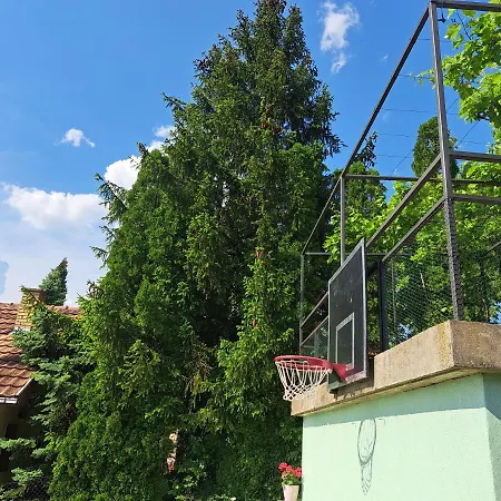 Teja Vikendica Ledinci